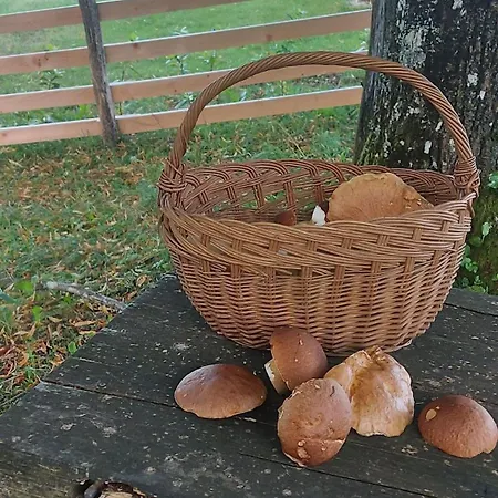 Nature Getaway With Wooden Soaking Hot Tub *