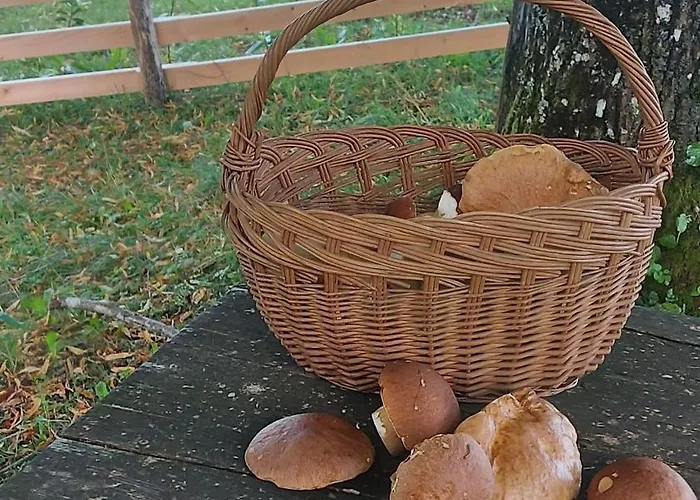 Nature Getaway With Wooden Soaking Hot Tub *